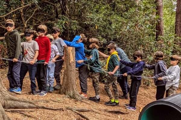 Chiswick_Scout_125