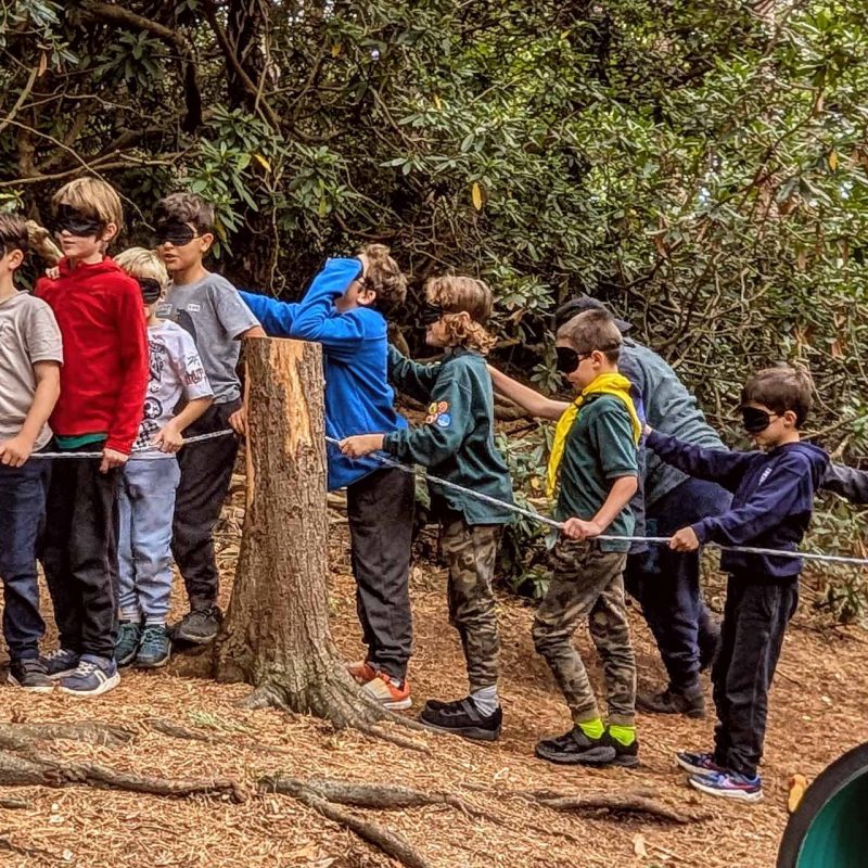 Chiswick_Scout_125
