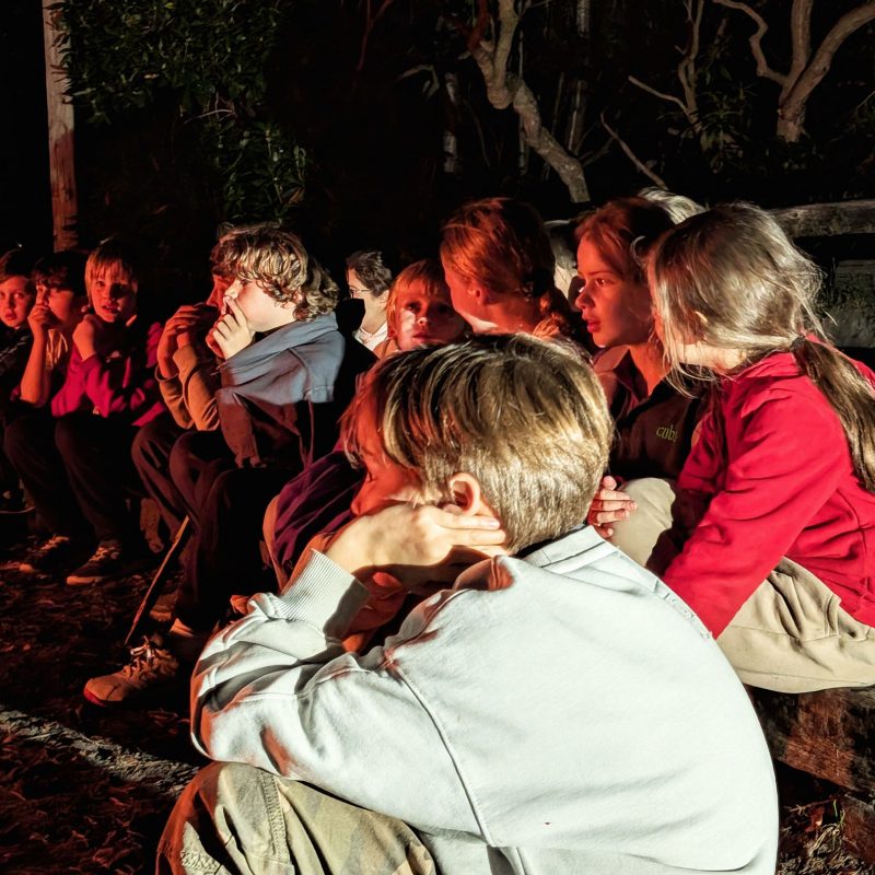 Chiswick_Scout_126